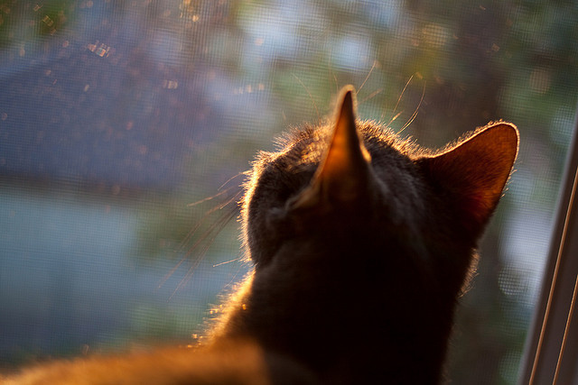 AYX体育-【运动员心态调节】如何化解比赛中的紧张和犯规带来的压力?,运动员比赛前如何调整心态