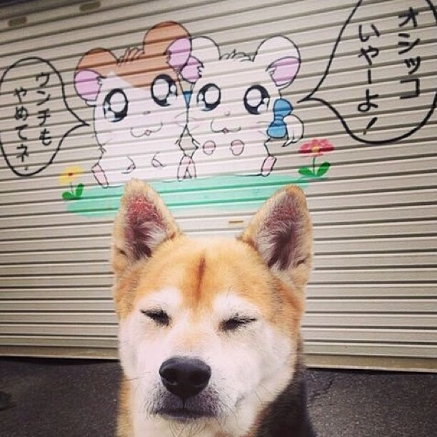 爱游戏体育（AYX）官方APP下载-_退役运动员表演赛：缅怀历史，振奋精神_，退役军人运动员