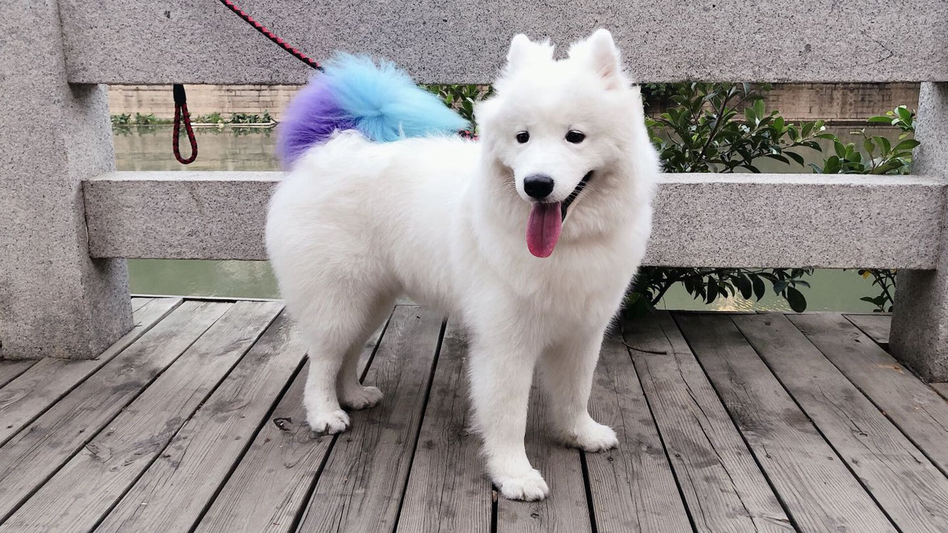 AYX体育官网-互联网+足球：创新模式激发全民运动热情，足球的创新