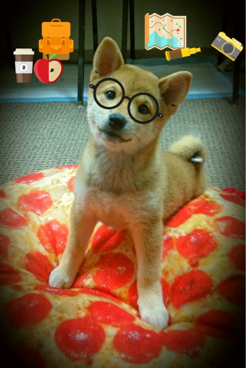 爱游戏官方-丰收季节乡村运动会，体会乡土文化的独特魅力，乡村庆丰收活动主题怎么写