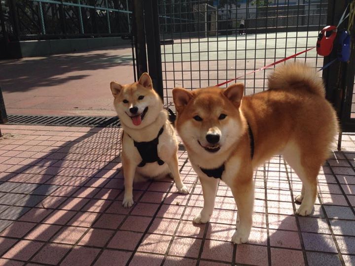 AIYOUXI.COM-中超俱乐部引入先进管理理念，促行业健康发展，中超俱乐部怎么盈利