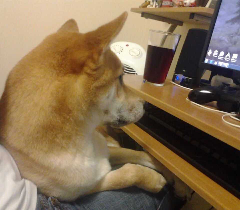 爱游戏在线登录入口-惊险刺激!WRC拉力赛进入终点冲刺,wrc拉力比赛