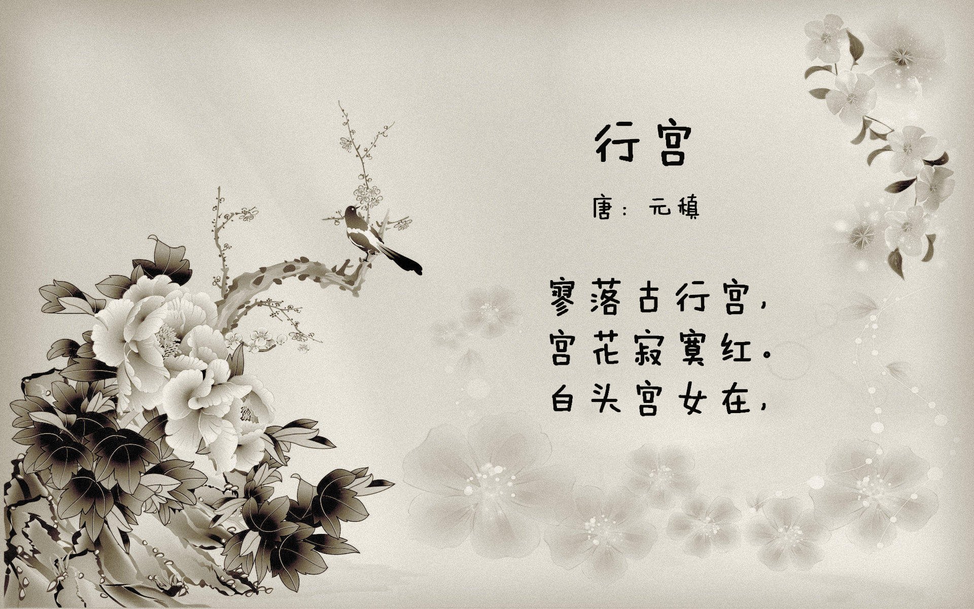 AYX GAME-日本马术协会授予大和田智子“年度最佳盛装舞步骑手”称号。,大和田全名