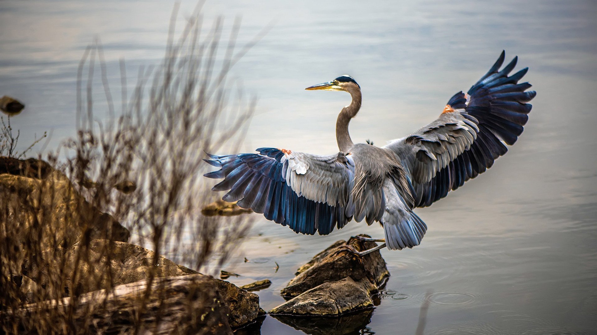 爱游戏官方网站-球场“坚不可摧”的防线：冠军的秘密堡垒