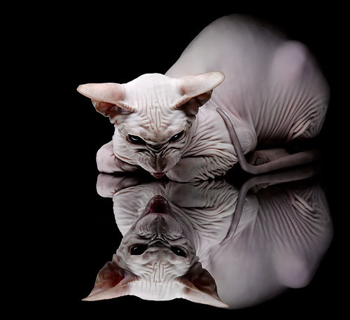 爱游戏体育(AYX)官方APP下载-西甲:马德里德比战,马竞在补时绝杀皇马,马德里竞技的比赛