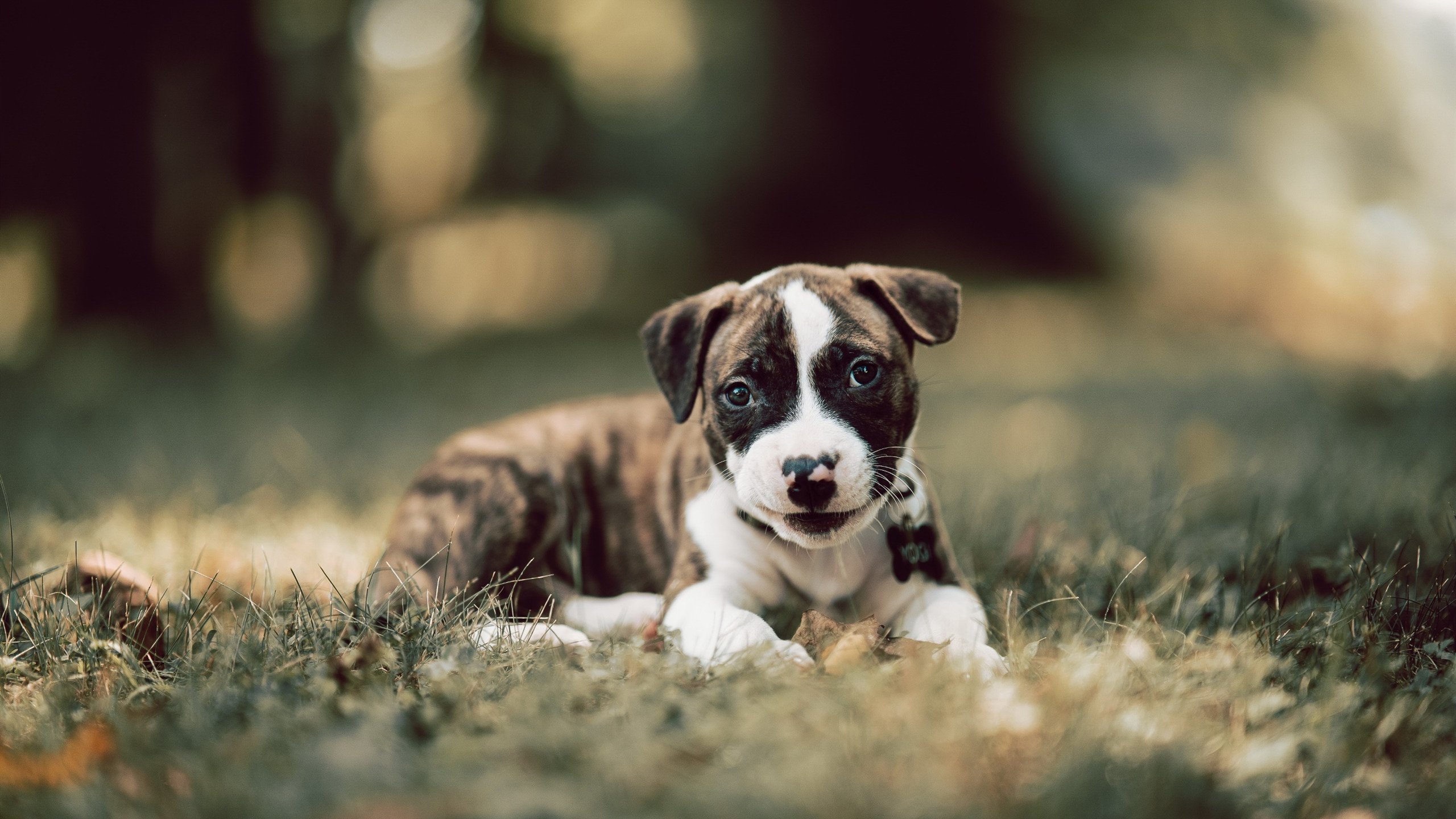 爱游戏官方-中超积分榜竞争激烈，冠军归属充满悬念，2021中超积分榜规则