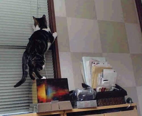 爱游戏中国官方登录入口网站-迈阿密热火防守端“铁血”升级，季后赛挑落大牌！，迈阿密热火阵容