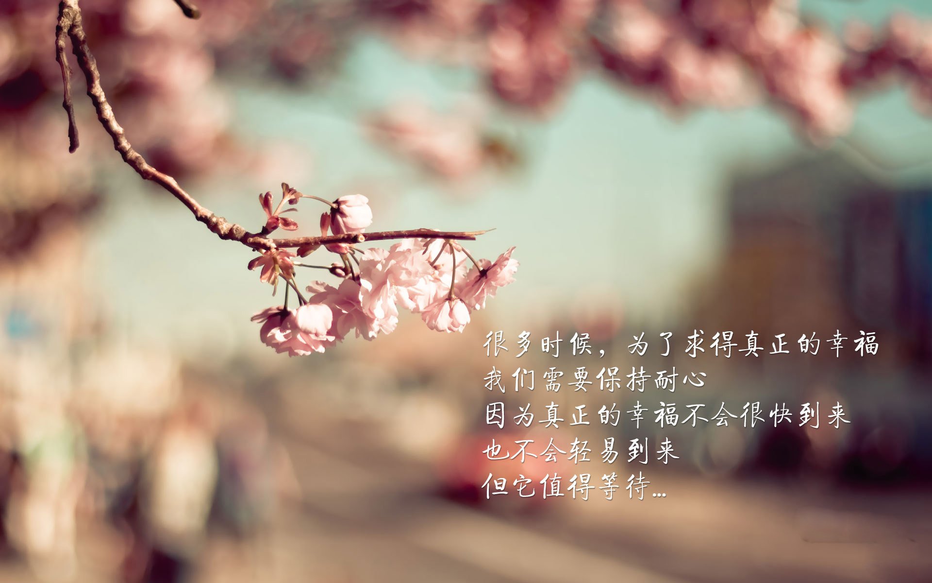 AYX体育官网-利物浦客场大胜伯恩茅斯，取得连胜，利物浦3_0伯恩利