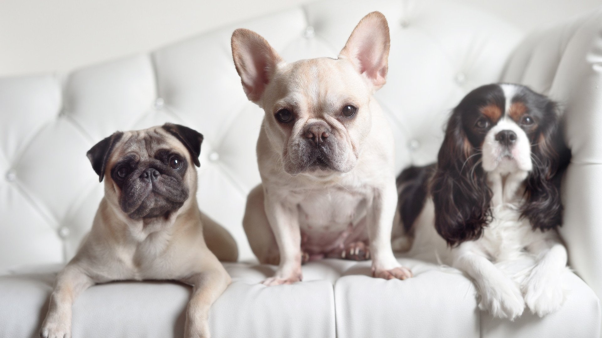 爱游戏官方-地方青训资源利用是否高效,地方青训资源利用是否高效运行