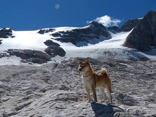 爱游戏娱乐-KPL赛区明星选手专访，kpl的明星选手