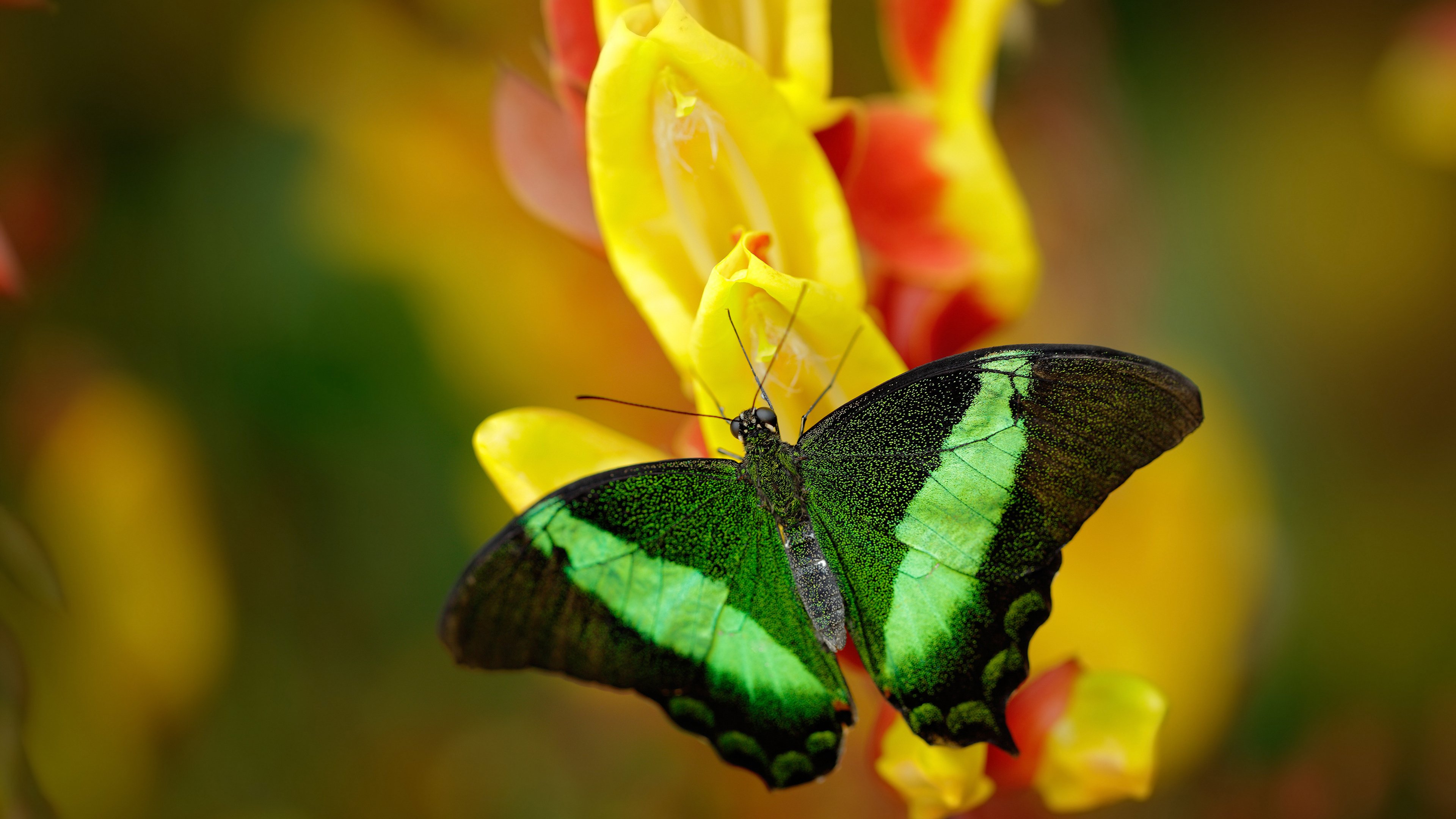 爱游戏娱乐网址-篮球运动员训练数据可视化应用，篮球球员技术统计表
