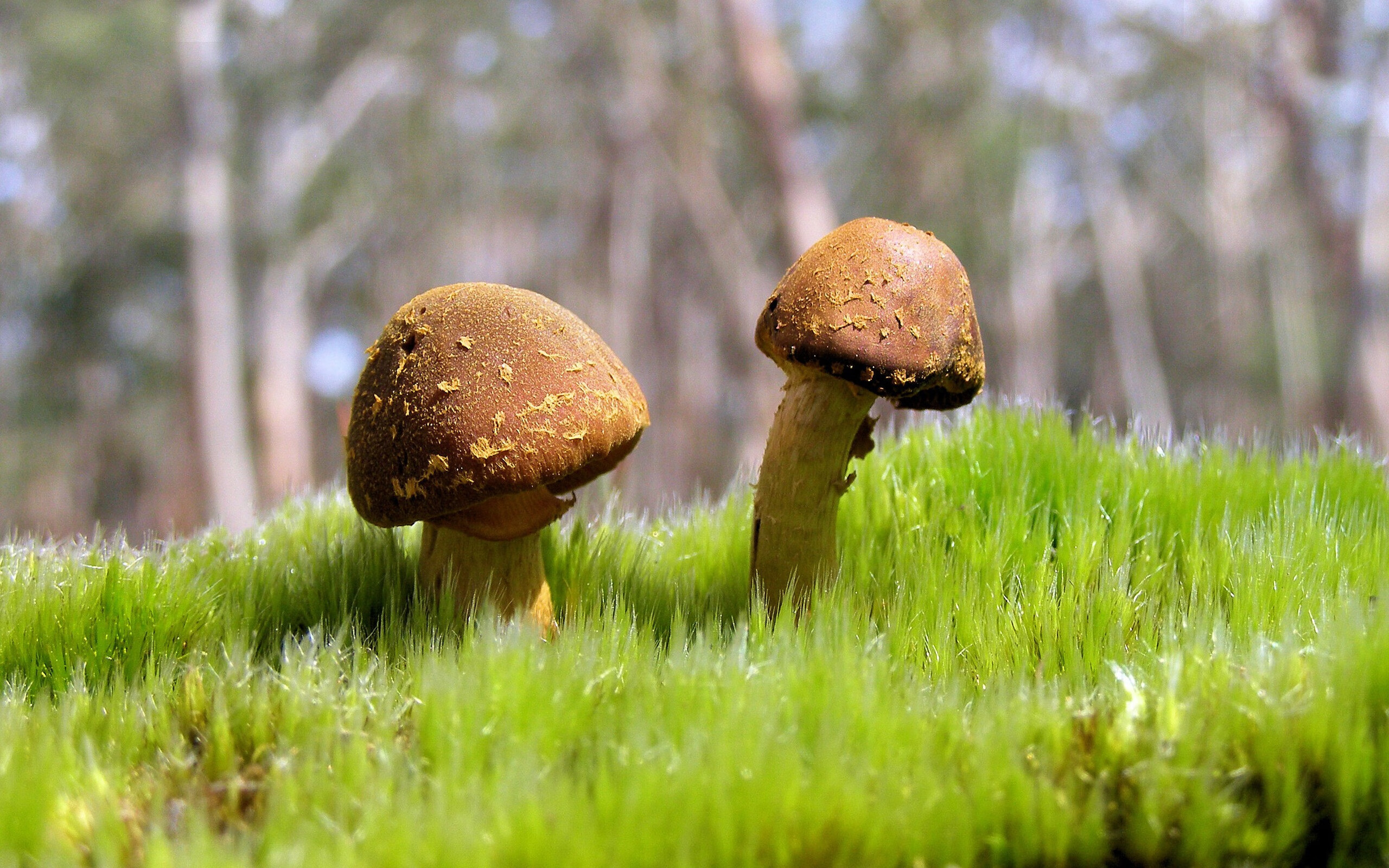 爱游戏娱乐-腾讯电竞赛事打造沉浸式体验，腾讯的电竞比赛