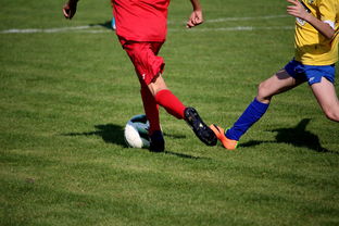 AYX GAME-NBA球员训练计划个性化设计，nba球员训练视频,篮球技术