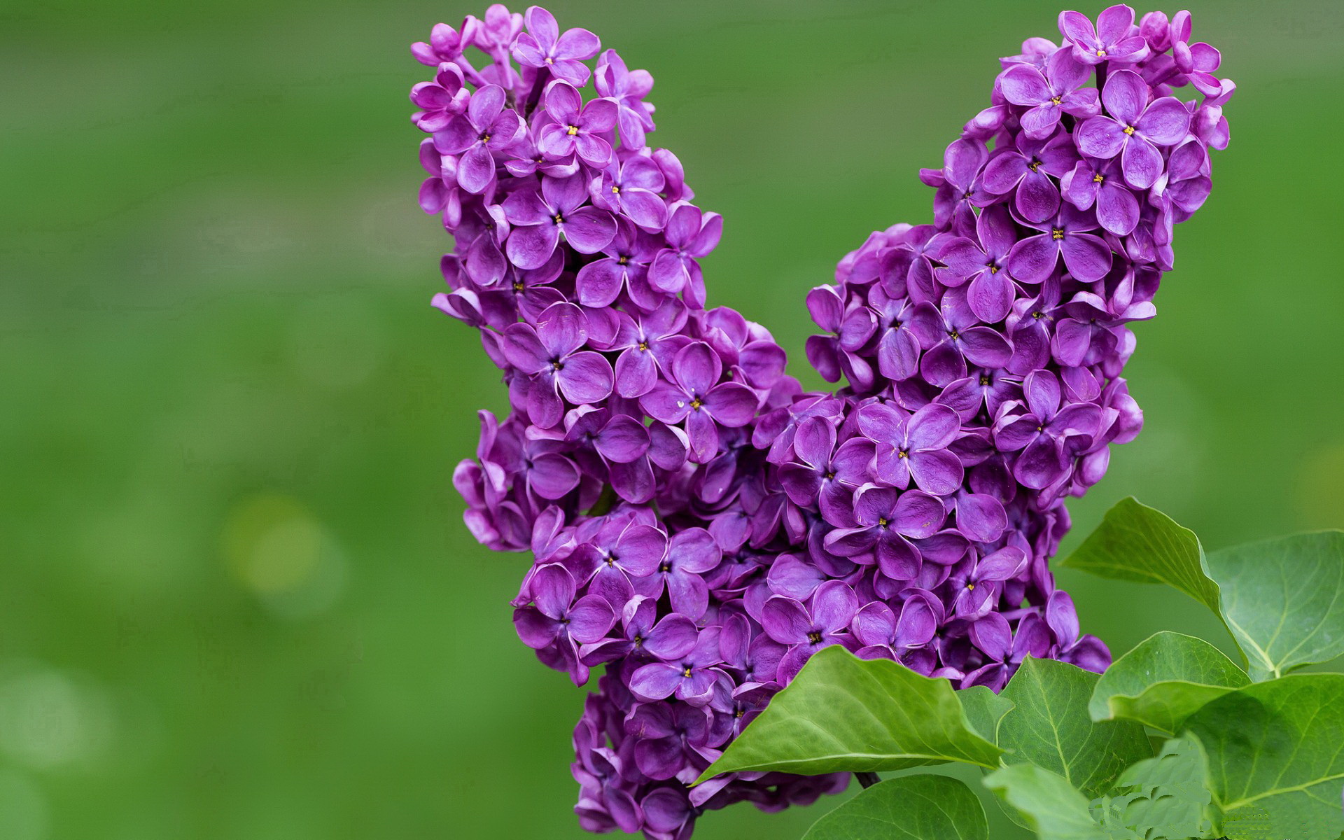 爱游戏在线登录入口-摩洛哥大胜晋级！毛里塔尼亚队毫无还手之力，毛里塔尼亚全是沙漠