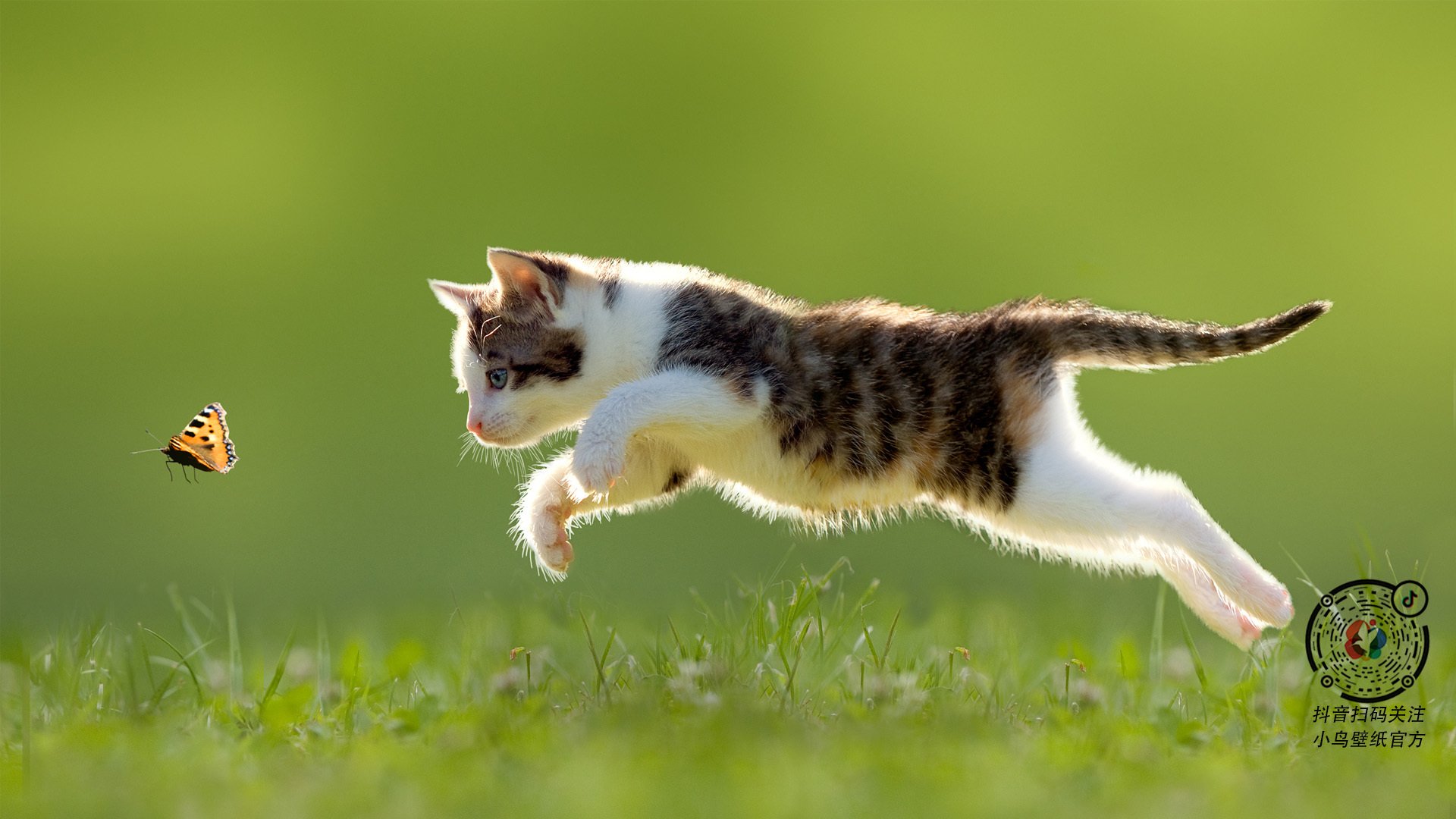 爱游戏app下载-节奏变化是否会显著影响球队犯规策略，节奏可以属于影响观众情绪的手段吗