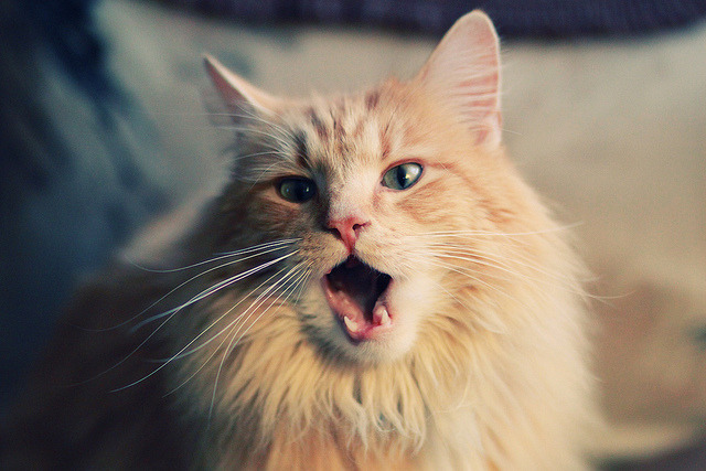 爱游戏 电竞-CBA联赛推动比赛直播互动创新增强粉丝体验,cba2020-2021直播平台