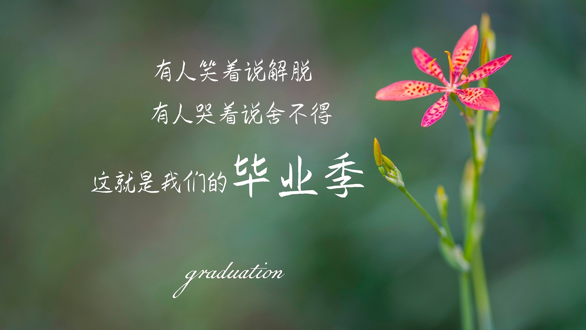 爱游戏官方网站-全国高尔夫青少年赛南方小将力压群雄,2021年中国青少年高尔夫精英赛