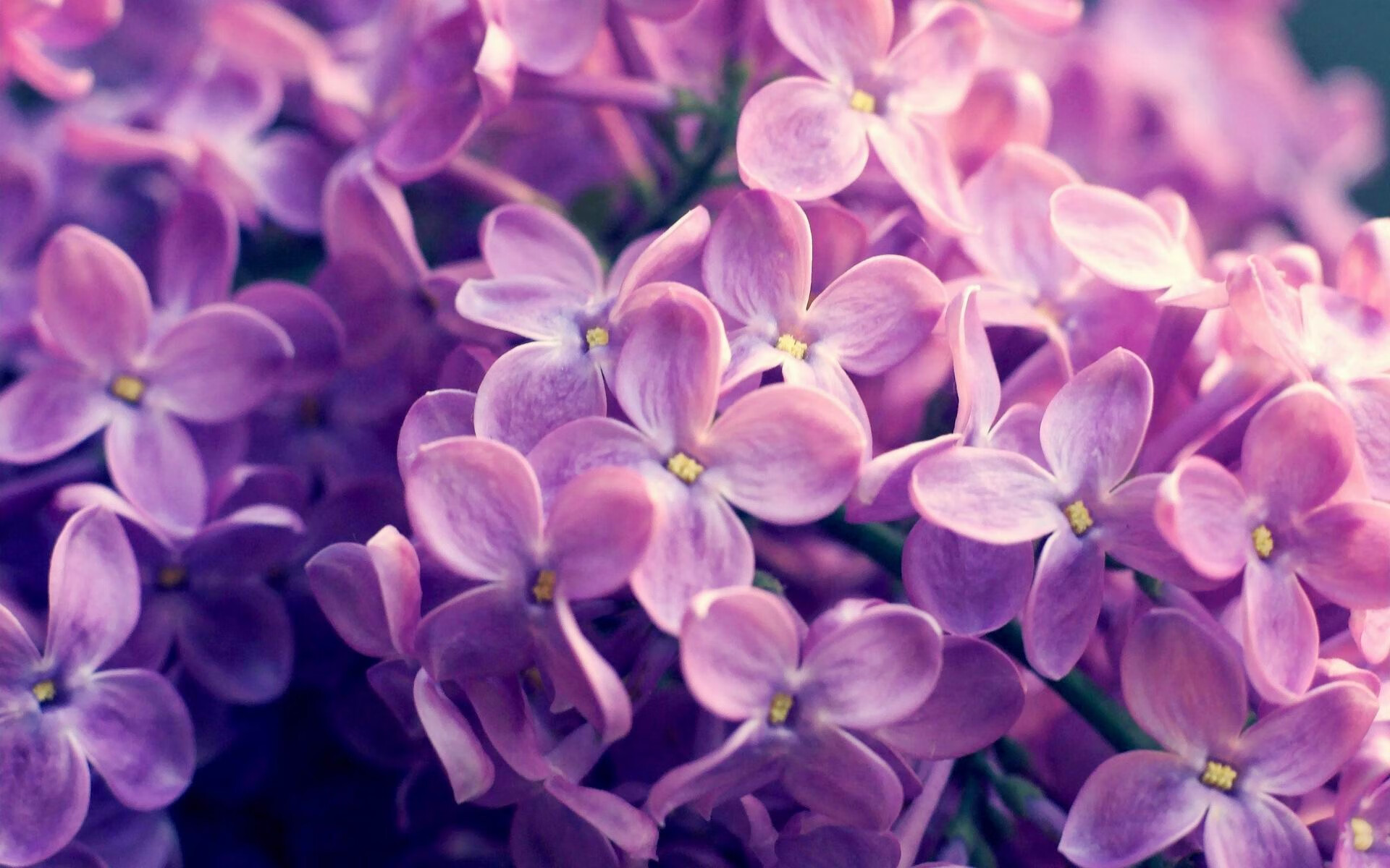 爱游戏娱乐-张雨霏分析转项优势并展望未来计划